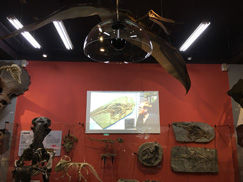 礦物化石博物館-定向音響系統集音罩-2