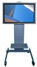 ˽ϸ
